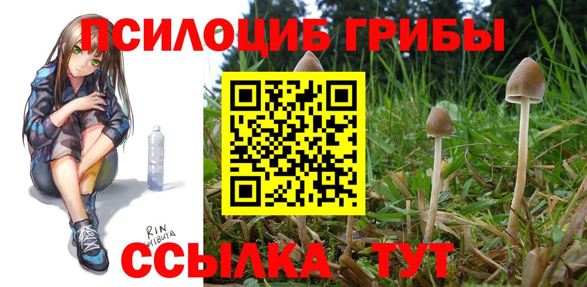 Псилоцибиновые грибы MAGIC MUSHROOMS  Вход с VPN  Галлюциногенные грибы Magic Shrooms  Петрозаводск 