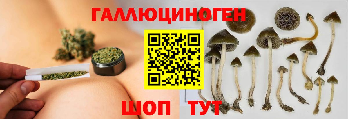 Псилоцибиновые грибы ЛСД Петрозаводск